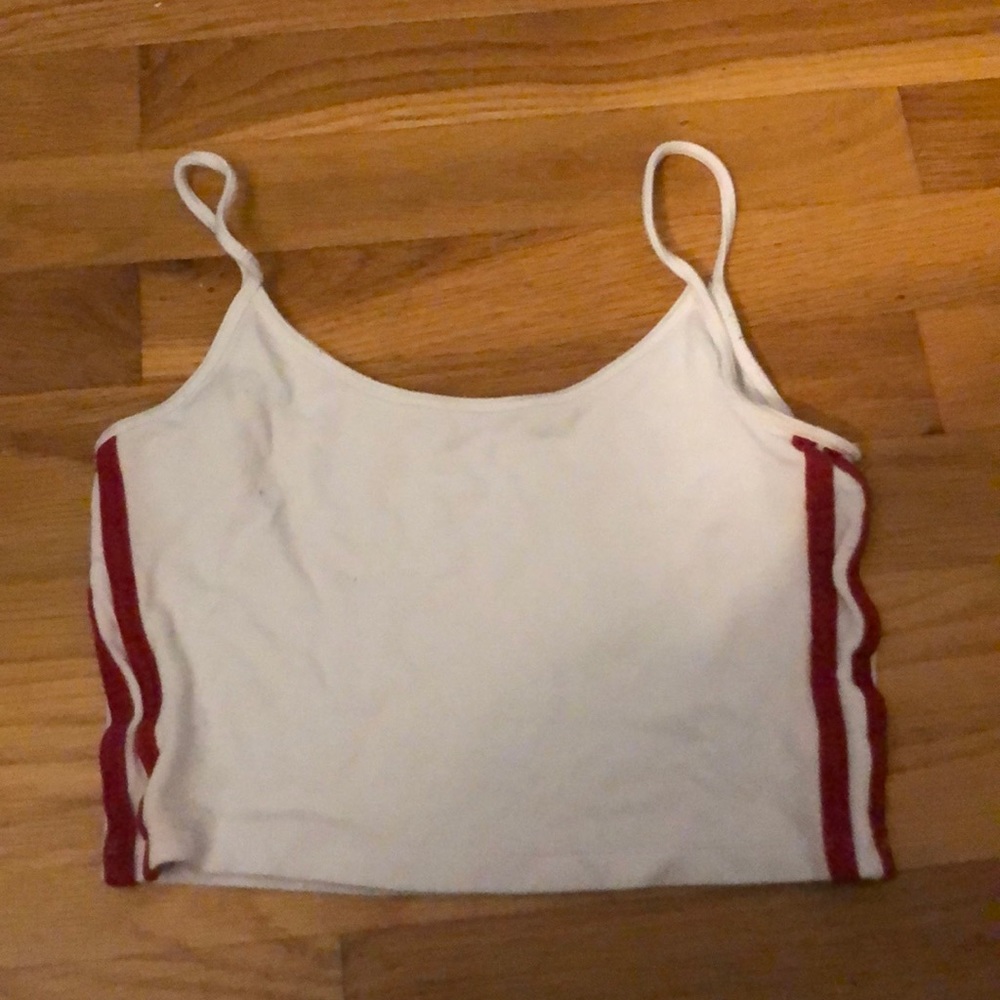 Brandy Melville Crop Top